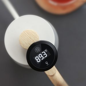 Digital Thermometer